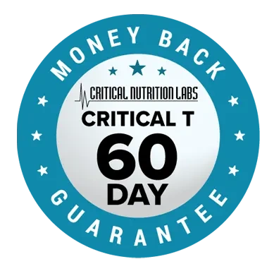 Money-back-Guarantee-of-Critical-T